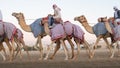 Ash-Shahaniyah, Qatar- March 21 2021 : Jockeys taking the camels for walk in the camel race tracks Royalty Free Stock Photo