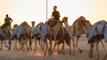 Ash-Shahaniyah, Qatar- March 21 2021 : Jockeys taking the camels for walk in the camel race tracks Royalty Free Stock Photo