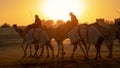 Ash-Shahaniyah, Qatar- March 21 2021 : Jockeys taking the camels for walk in the camel race tracks Royalty Free Stock Photo