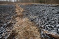 A burnt tree trunk after a fire Royalty Free Stock Photo