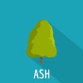 Ash tree icon, flat style Royalty Free Stock Photo