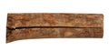 Ash tree wood log with bark beetle tracks Royalty Free Stock Photo