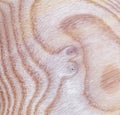 ash tree wood texture background in macro lens shoot Royalty Free Stock Photo