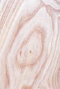 ash tree wood texture background in macro lens shoot Royalty Free Stock Photo