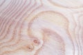 ash tree wood texture background in macro lens shoot Royalty Free Stock Photo