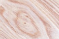 ash tree wood texture background in macro lens shoot Royalty Free Stock Photo