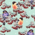 Ashberry and bullfinch