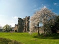 Ashby Castle Royalty Free Stock Photo