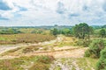 Ashdown Forest England a view along the track and heathland up to Friends Clump on an overcast summer day