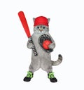 Cat ashen baseball player holds red bat Royalty Free Stock Photo