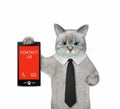 Cat ashen holds phone with text contact us