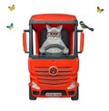 Cat ashen drives big red truck