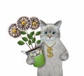 Cat ashen holds money flowers