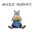 Cat ashen with gift bag of gold dollars 2 Royalty Free Stock Photo