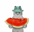 Cat ashen holding slice of watermelon