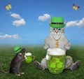 Cat ashen and rat drinking green beer