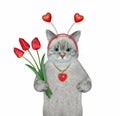 Cat ashen in holiday headband with tulips