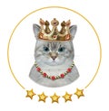 Cat ashen king in golden crown