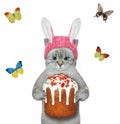 Cat ashen in easter bunny hat 2