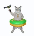 Cat ashen with green donut on its waist