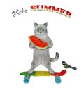 Cat ashen riding skateboard