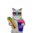 Cat ashen drinks coffee with hot dog