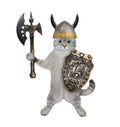 Cat ashen holds battle axe and shield Royalty Free Stock Photo