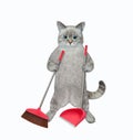 Cat ashen holds dustpan and broom