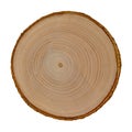 Ashen tree cross sections, top view. Wood textures. Tree trunk close-up.