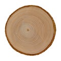 Ashen tree cross sections, top view. Wood textures. Tree trunk close-up. Royalty Free Stock Photo