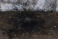 Ashes after burn the grass and wood chips finish, Beside the house wall