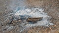 Ashes on a burned fire place