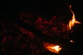 Ashes and coals, smoke from the fire. Sparks from the fire and red-hot coals on a black background close-up. Campfire, fire for Royalty Free Stock Photo