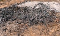 wood ashes on the ground after the fire Royalty Free Stock Photo