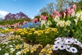 Ashikaga Flower Park, Famous travel destination in Japan. Colorful multiple kind of flowers blooming in springtime.