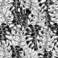 Botanical seamless pattern, monstera leaf. realistic tropical leaf in the doodling style. monochrome pattern in the style of