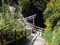 Stone steps and torii gates leading to Hakusan Domon natural arch on cape Ashizuri