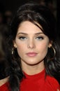 Ashley Greene Royalty Free Stock Photo