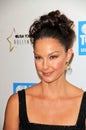 Ashley Judd Royalty Free Stock Photo