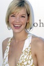 Ashley Scott on the red carpet. Royalty Free Stock Photo