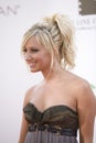 Ashley Tisdale 5 Royalty Free Stock Photo