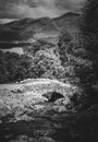 Ashness Bridge lake district Royalty Free Stock Photo