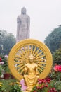 The Ashok Chakra with blurry background of Grand Statue of Buddha in WAT THAI Temple. Varanasi, India