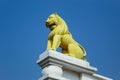 Yellow ashoka lion at dhauli temple Royalty Free Stock Photo