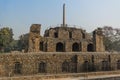 Ashoka pillar on pyramidal structure and a dog in Feroz Shah Kotla