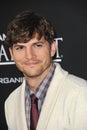 Ashton Kutcher Royalty Free Stock Photo