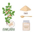 Ashwagandha set with powder and roots in flat style isolated on white.