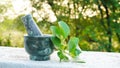 Ashwagandha or Withania somnifera plant with mortar and pestle on terrace and behind nature background