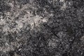 Ashy surface. Texture of burnt grass. Overal view Royalty Free Stock Photo