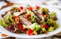 Asia beef salad Royalty Free Stock Photo